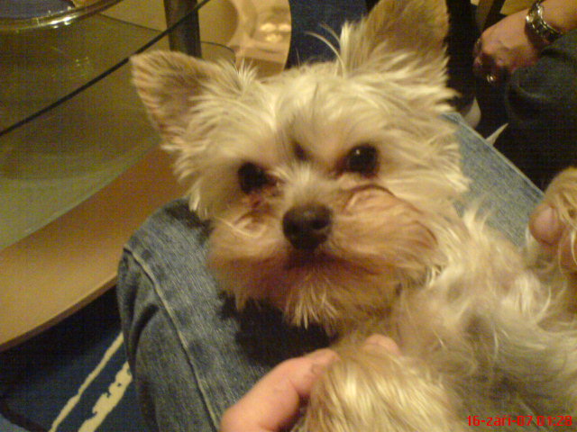 DSC00765.JPG